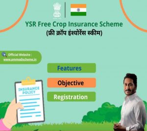 YSR free crop insurance scheme