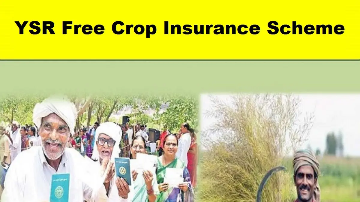 YSR free crop insurance scheme