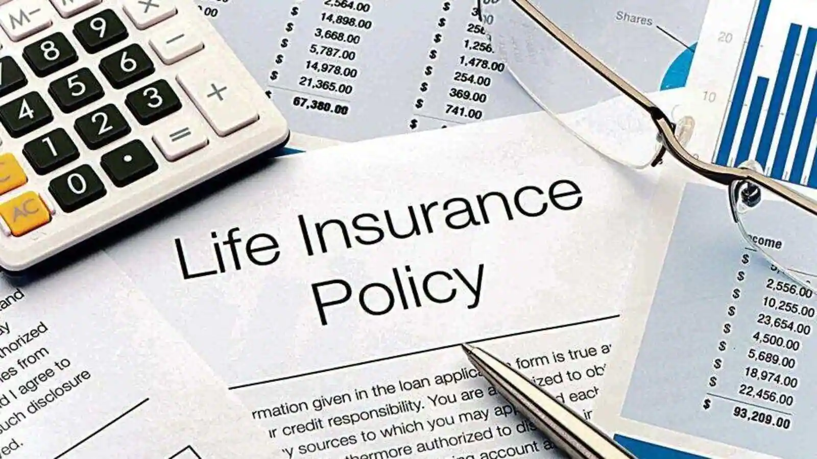 Minnesota life insurance company